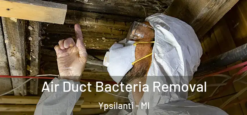  Air Duct Bacteria Removal Ypsilanti - MI