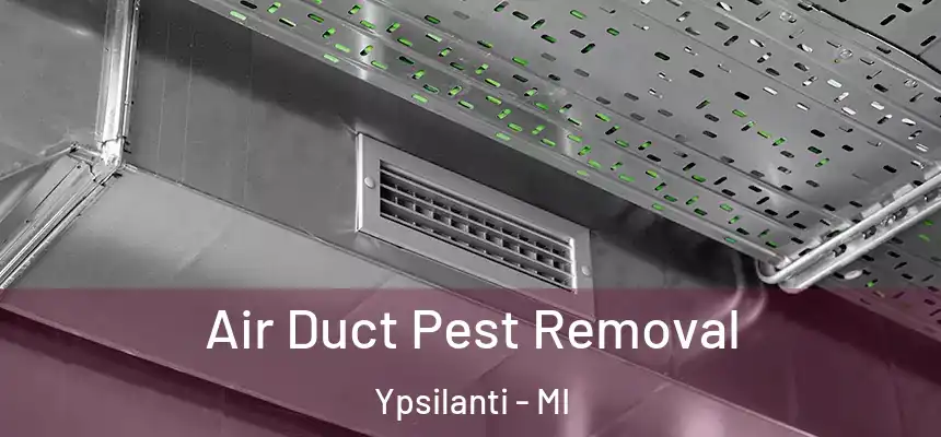  Air Duct Pest Removal Ypsilanti - MI