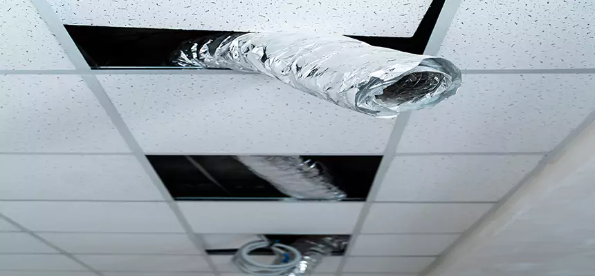 Our Air Duct Pet Hair Removal Services in Ypsilanti, MI