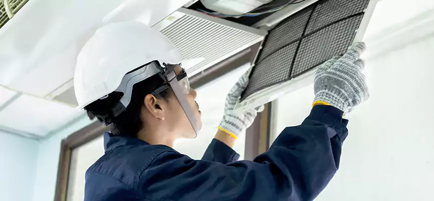 Our Mold & Mildew Removal from Air Ducts Services in Ypsilanti, MI