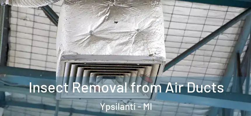  Insect Removal from Air Ducts Ypsilanti - MI