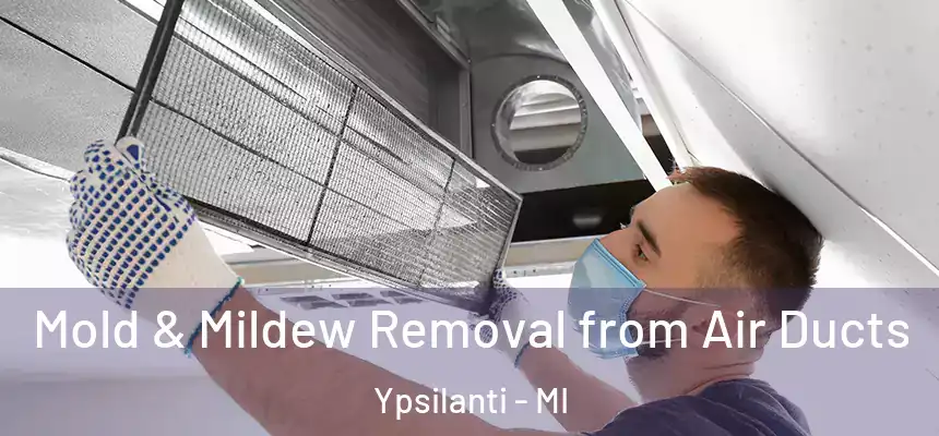  Mold & Mildew Removal from Air Ducts Ypsilanti - MI