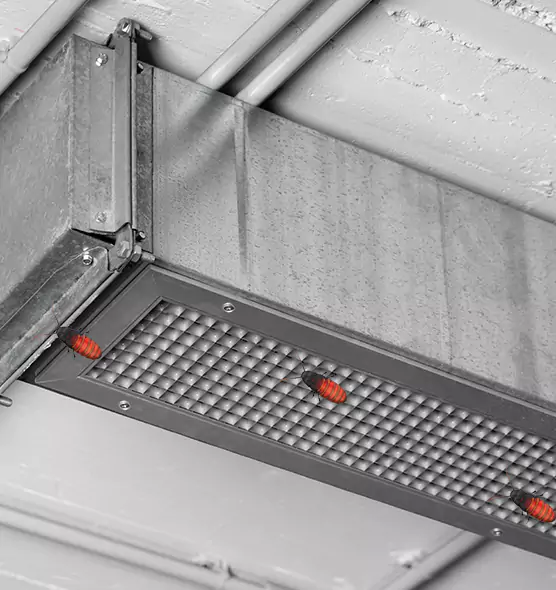 About Air Duct Cockroach Removal in Ypsilanti, MI