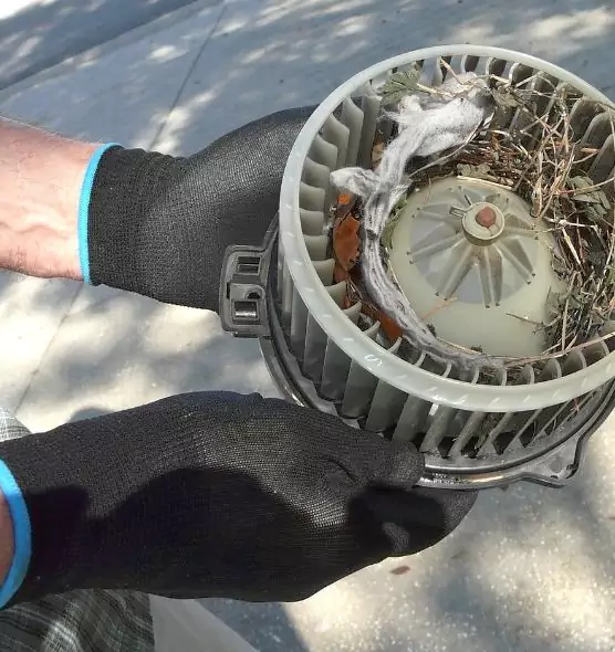 About Air Duct Mice Removal in Ypsilanti, MI