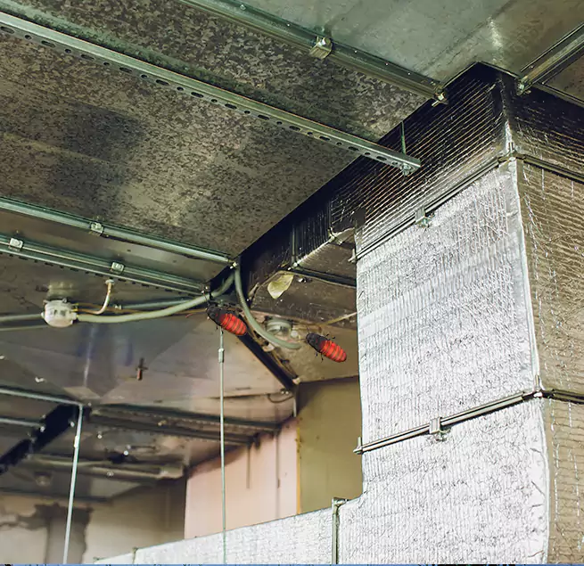 Why Homeowners & Businesses Trust Us in Ypsilanti, MI?