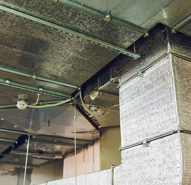 Why Homeowners & Businesses Trust Us in Ypsilanti, MI?